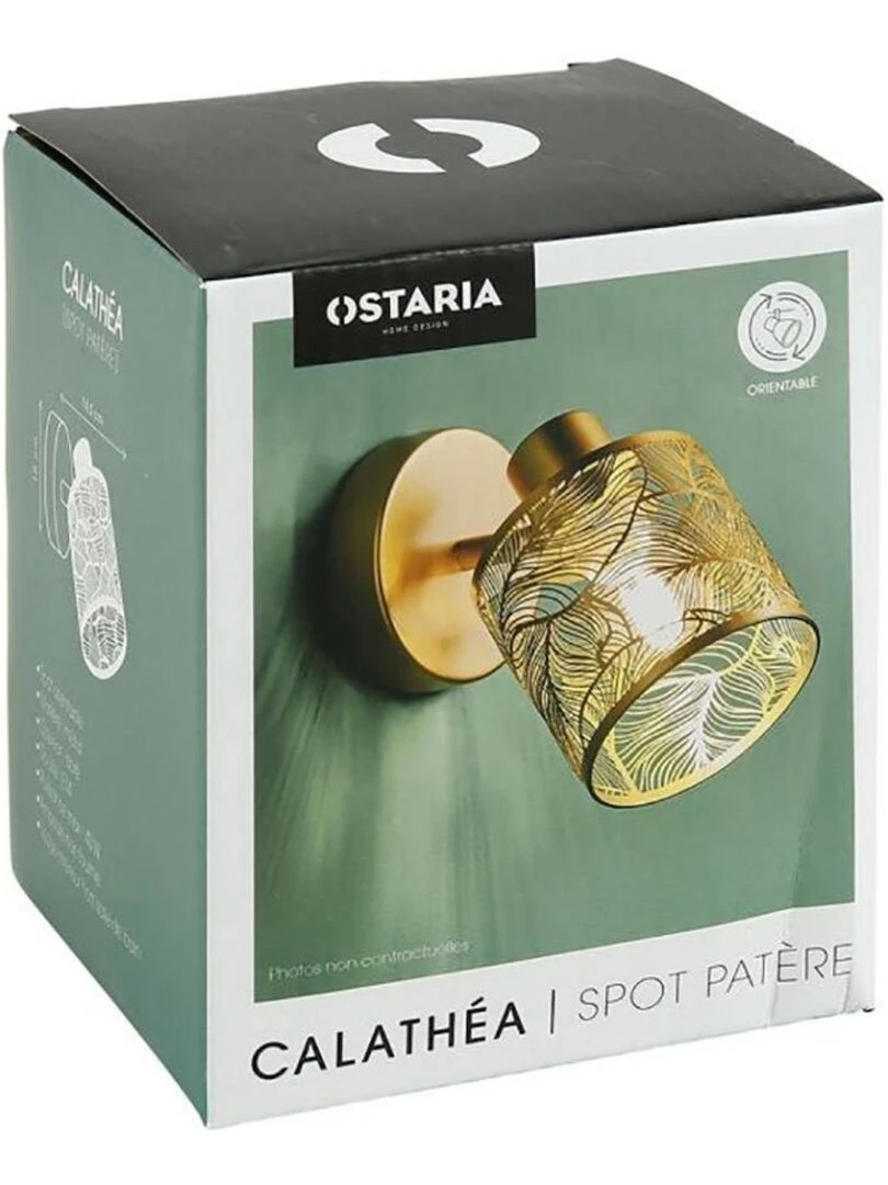 Applique spot orientable Calathéa doré Doré/or