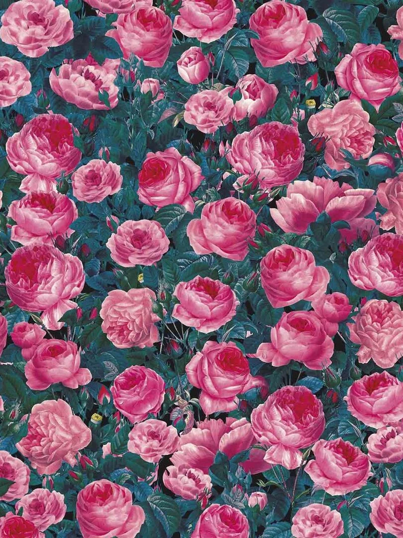 6 Feuilles de transfert   Fleurs   Cricut   N/A