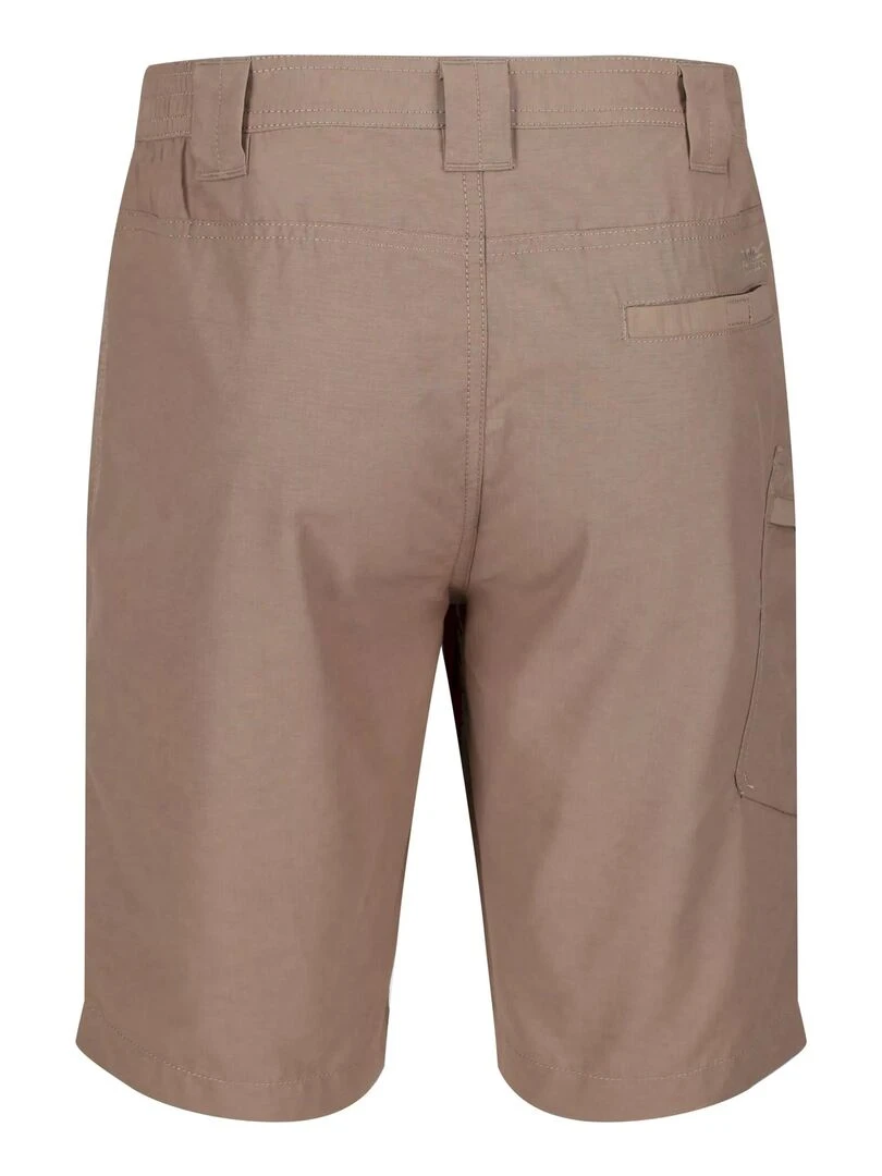 Regatta Short DELGADO Beige foncé