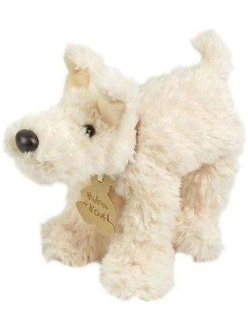 Doudou Histoire d'ours bear papat écru h : 21 cm dès la naissance ho1439 chien ecru Blanc