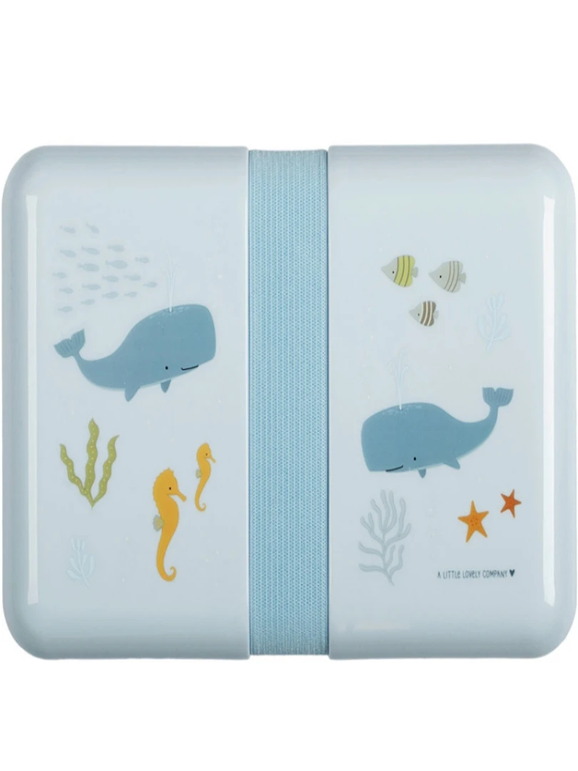 Lunch Box Océan Bleu