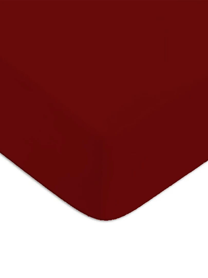 Future Home Drap housse en coton 57 fils un terracotta Rouge
