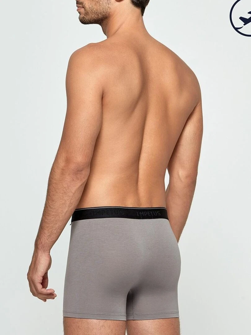 Boxer en fibre lyocell Travel   Gris