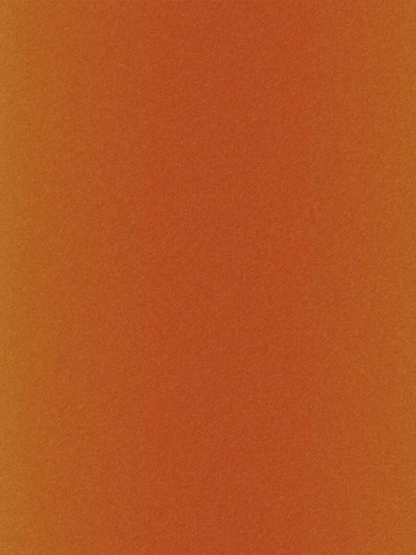 8 Feuilles de transfert   Animal   Cricut   N/A