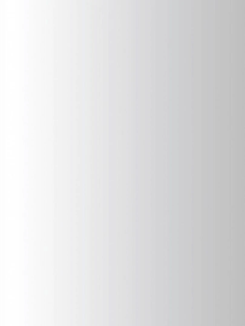 Peinture acrylique opaque nacrée Argent 45 ml N/A