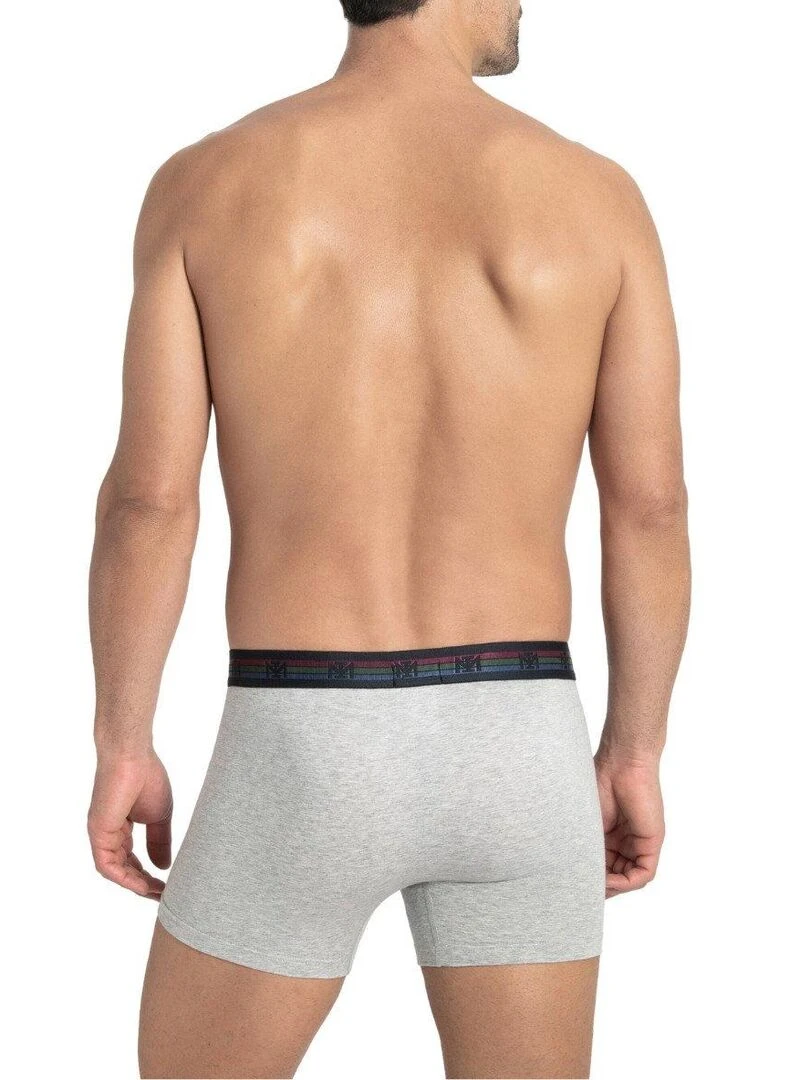 Pack de 2 boxers en coton Haruto   Gris