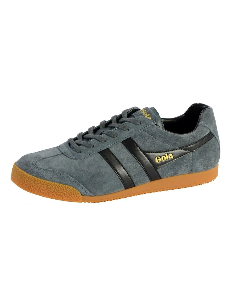 Basket Gola Harrier Suede Gris