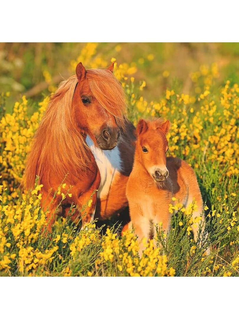 Puzzle pour enfant Poneys Shetland N/A