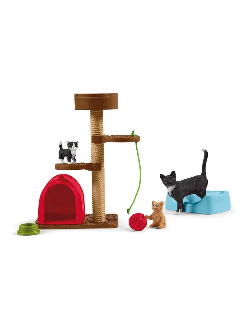 Divertissement pour chats mignons   N/A
