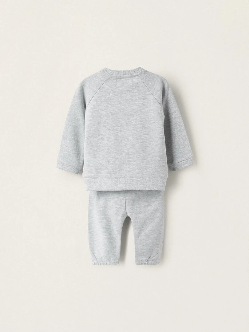 Pull + Pantalon pour Nouveau Né 'Happy Together' NATURE TAKEOVER Gris clair