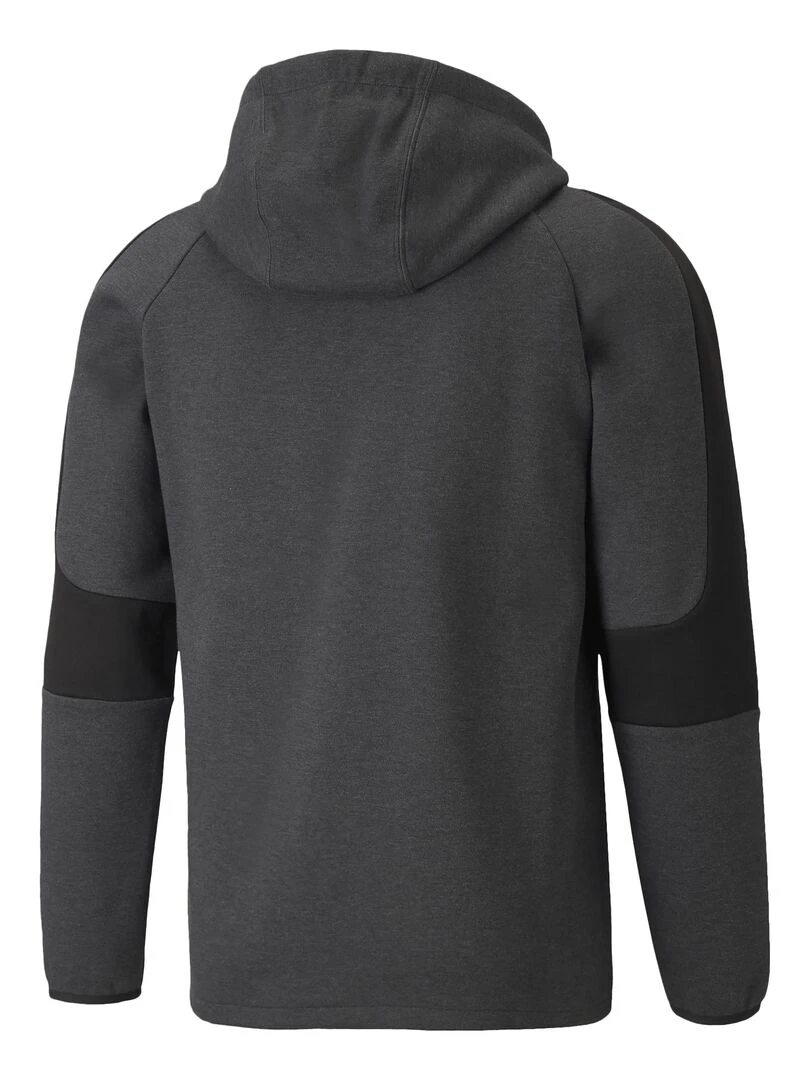 Sweat Capuche Puma Evostripe Core Fz Hoodie Gris