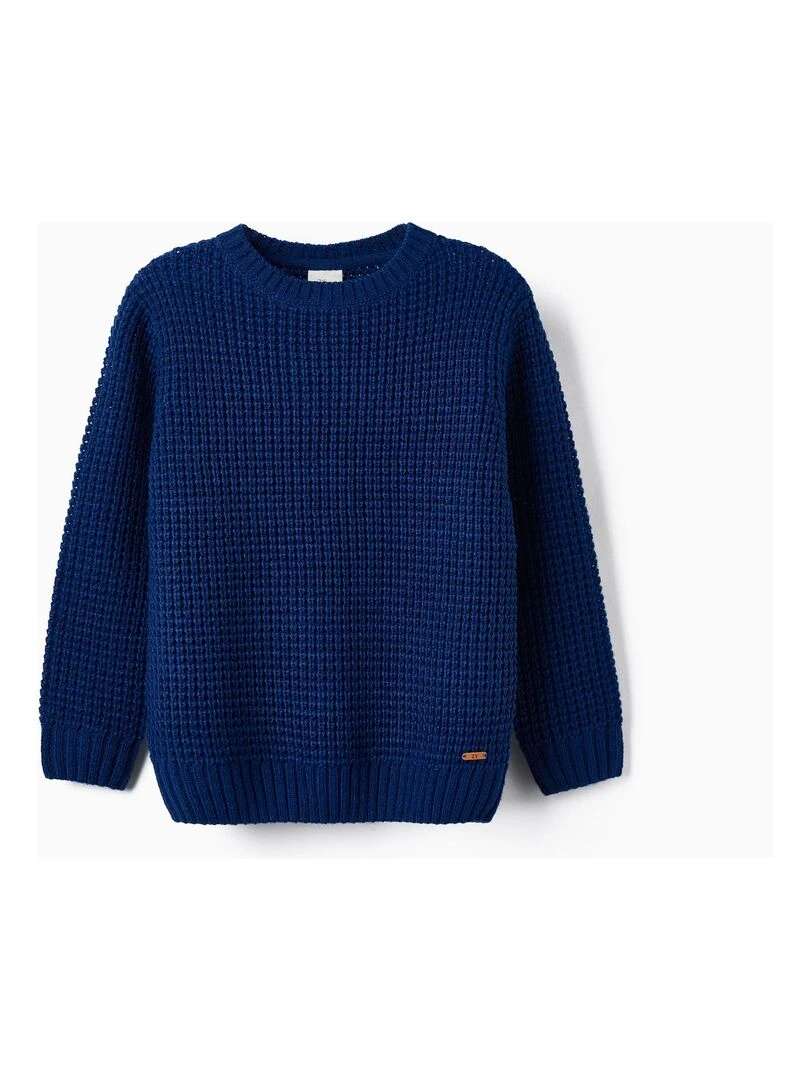 Pull en Maille Tricotée pour Garçon LITERATURE CLUB Bleu