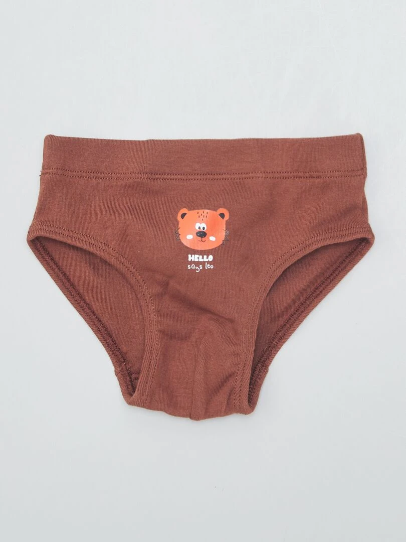 Lot de 3 slips en jersey   Bleu/marron/blanc