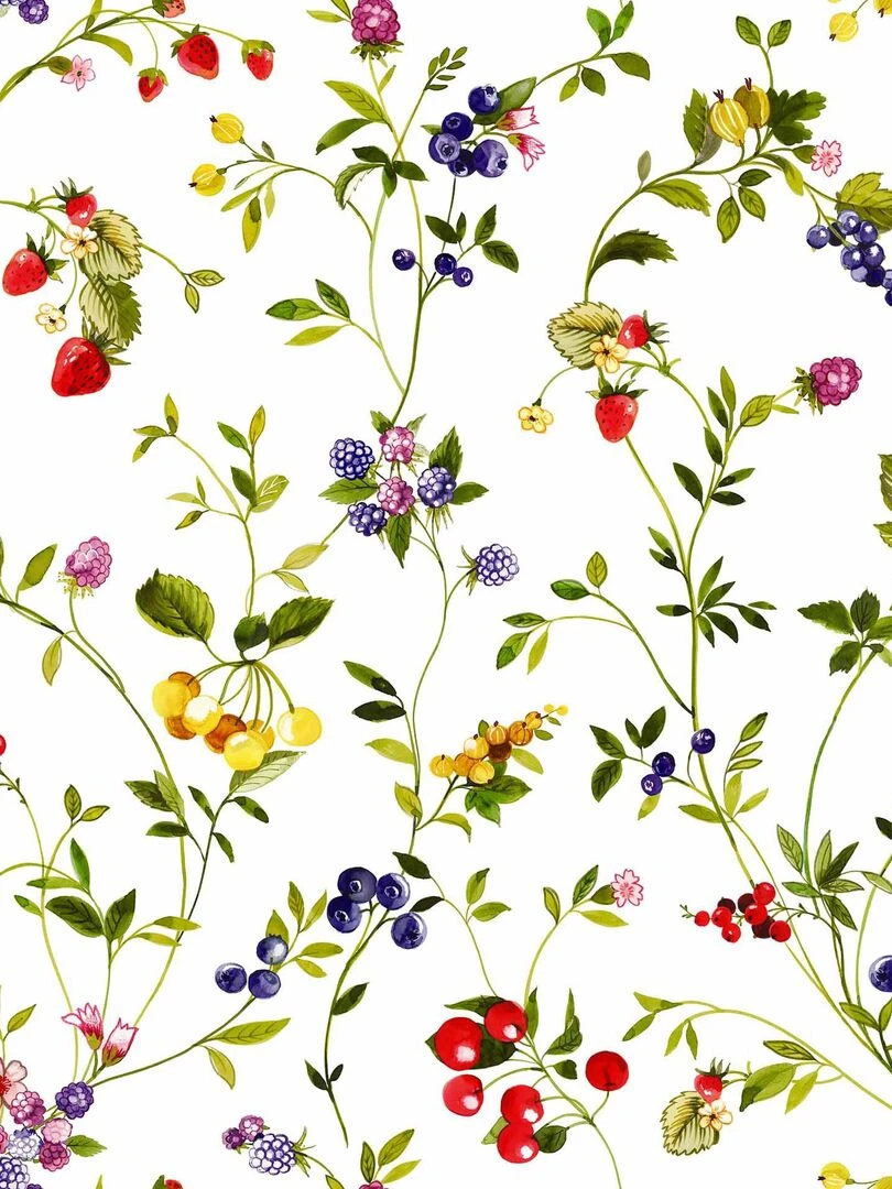 Nappe Toile cirée au mètre Lydia fruits Beige