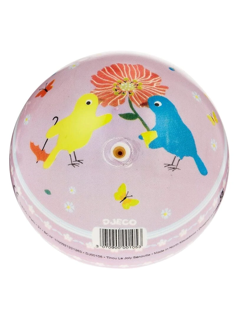 Balle Multicolore   N/A