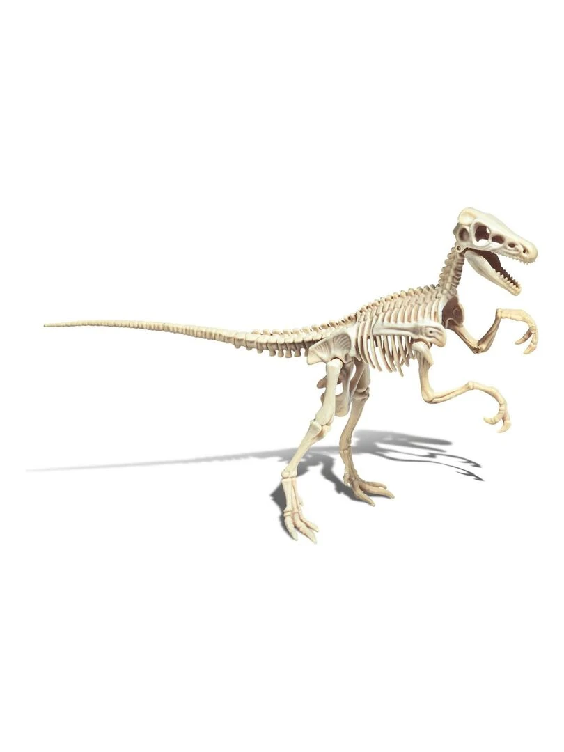 Science et jeu : Vélociraptor N/A