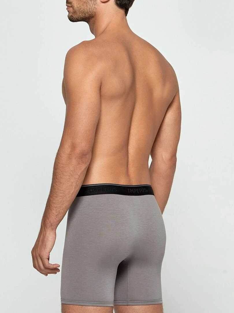 Boxer long en fibre lyocell Travel   Gris