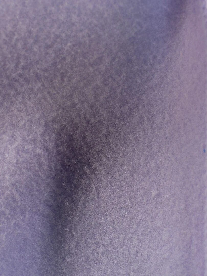 Disney   Pantalon De Jogging fille imprimé La Reine Des Neiges   Violet
