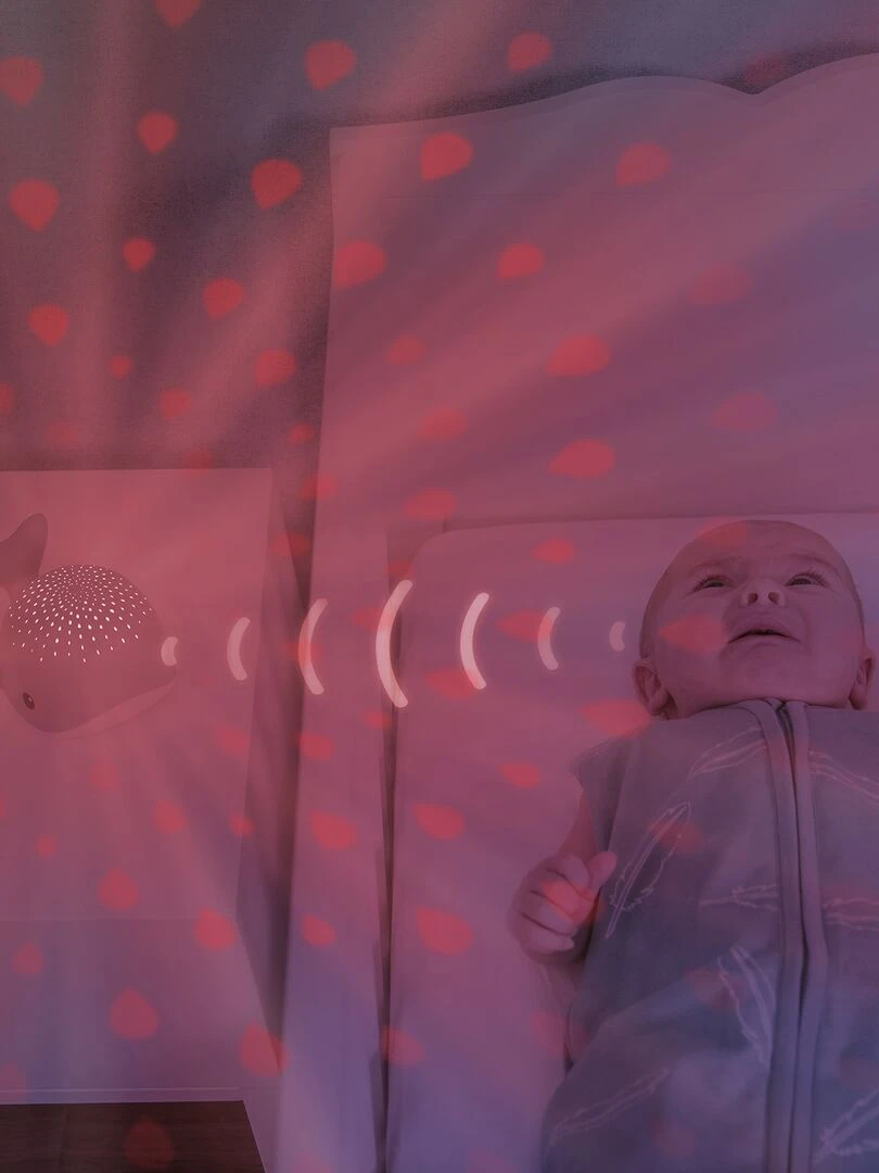 Projecteur d'ambiance Wally la baleine rose   Rose