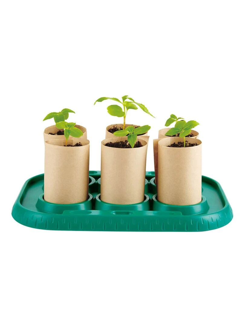 Serre pour apprentis jardiniers N/A