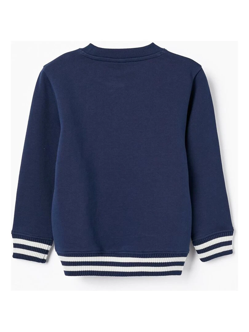 Sweat en coton avec motif en relief pour garçon FLYING BIRDS Bleu foncé