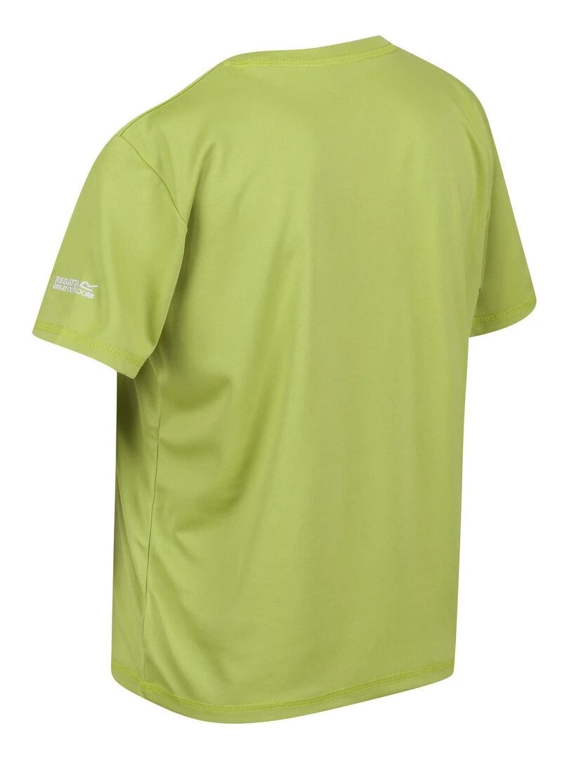 Regatta   T shirt ALVARADO   Vert