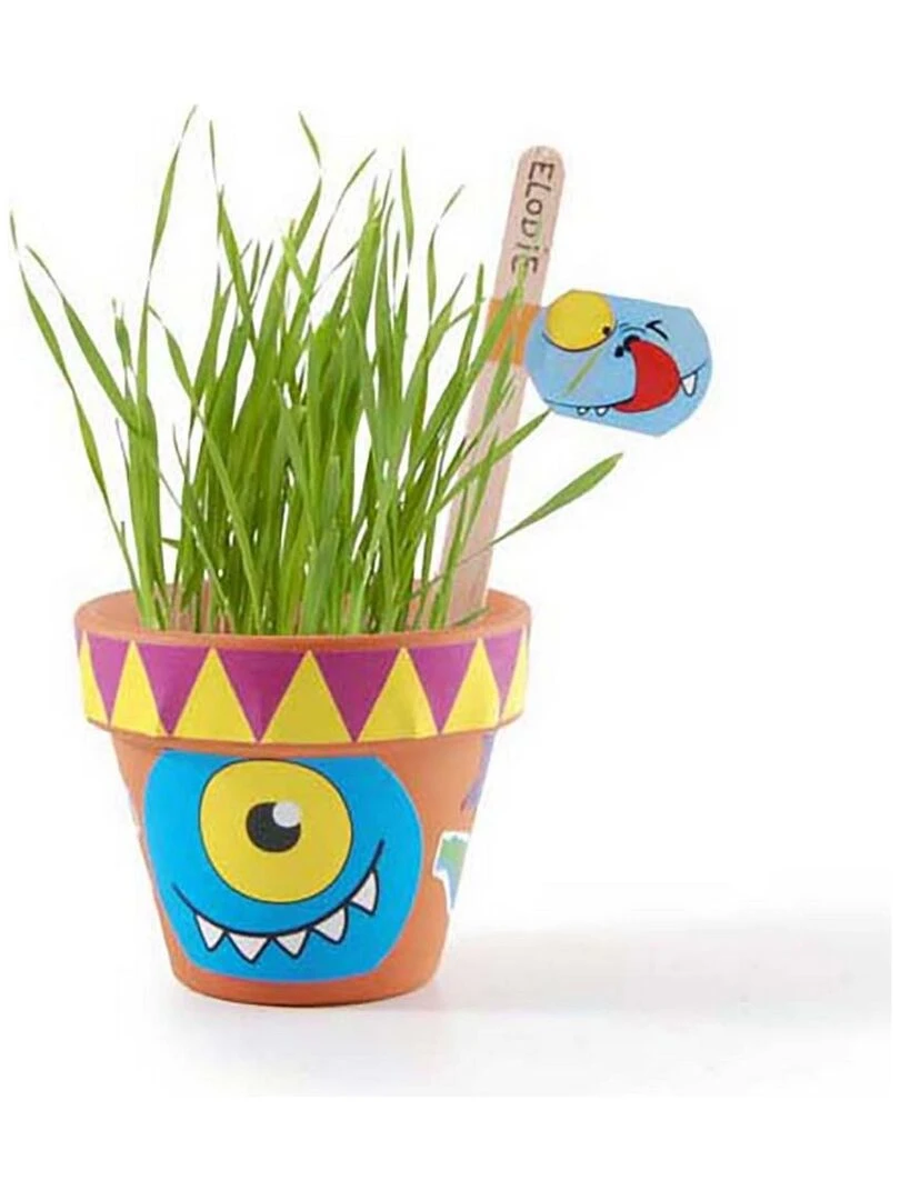 Coffret anniversaire   10 pots "Petits monstres"   A semer   N/A