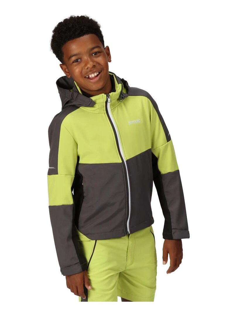 Regatta   Veste softshell ACIDITY   Gris Vert Gris