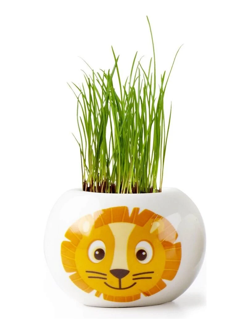 Kit jardinage : céramique Lion N/A