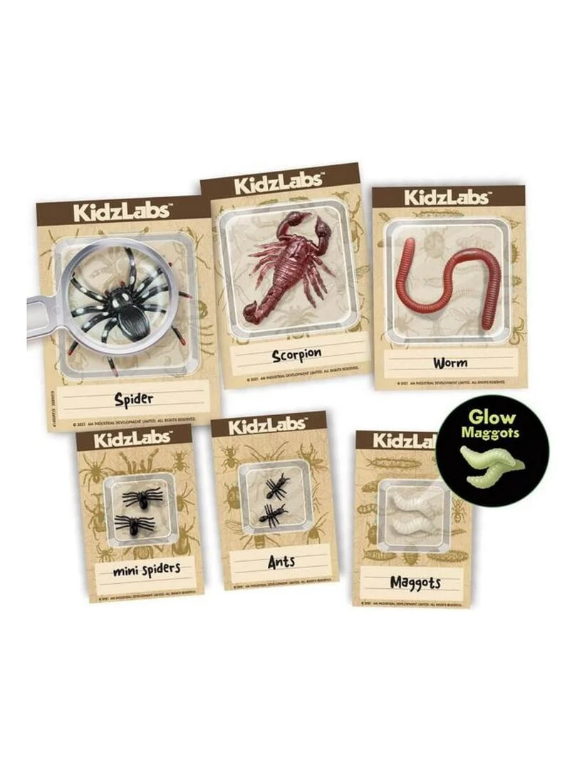 Découverte de la science   Kit des insectes rampants   N/A