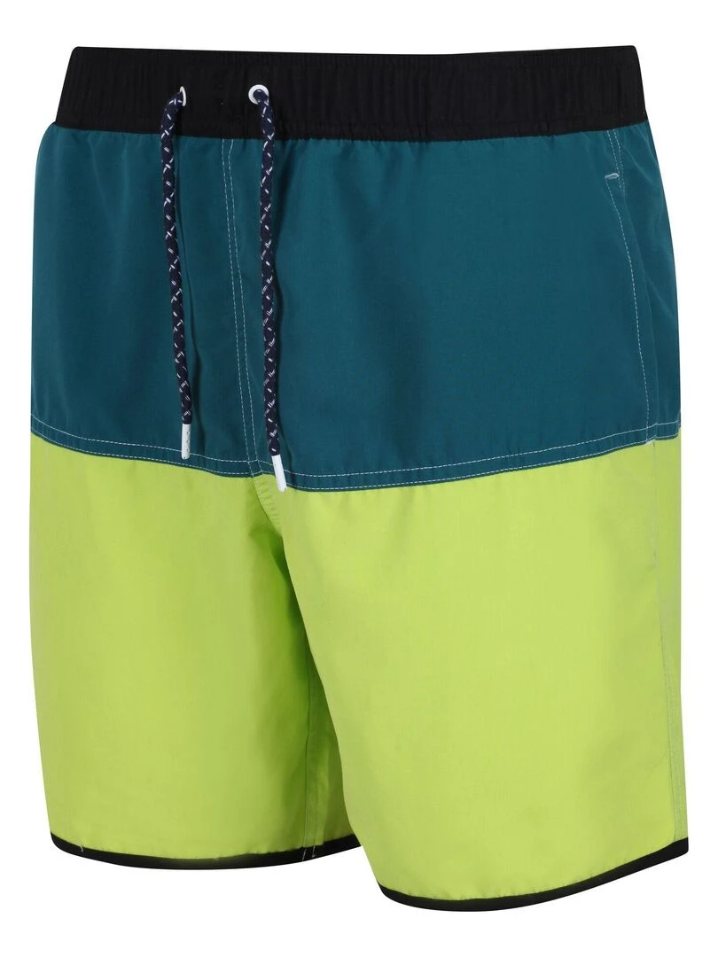 Regatta   Short de bain BENICIO   Vert