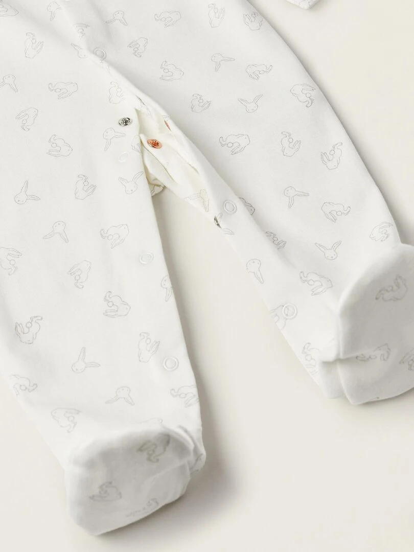 Pack 4 Pièces pour Nouveau Né 'Lapins' EARLY BLOOM Multicolore