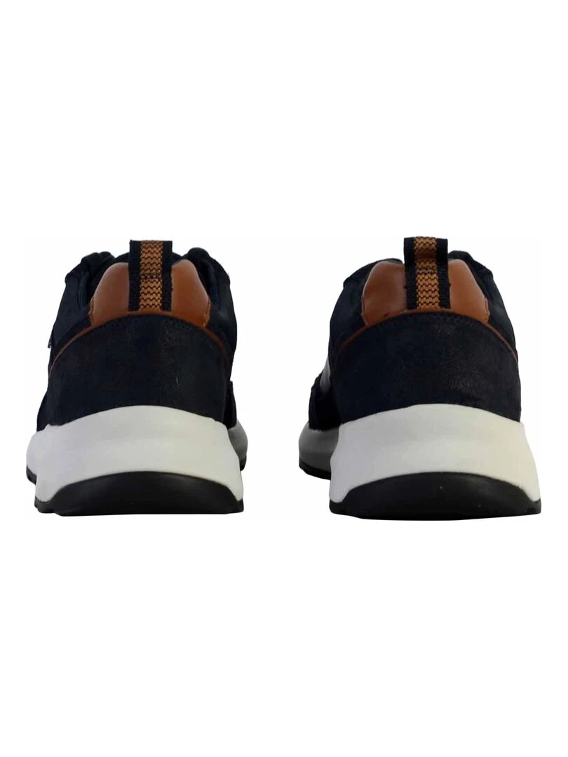 Basket Cuir Geox Titanio   Bleu