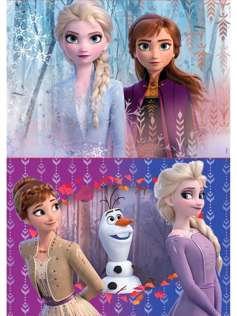Puzzle 2 x 20 pièces : La Reine des Neiges 2 (Frozen 2) N/A