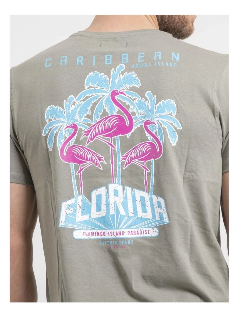 T shirt col rond pur coton NARUBA   Kaki