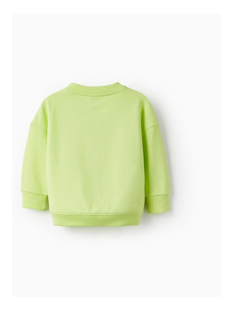 Sweat pour Bébé Garçon 'Les Plantes Sont Mes Compagnons de Sol' NATURE TAKEOVER Vert clair