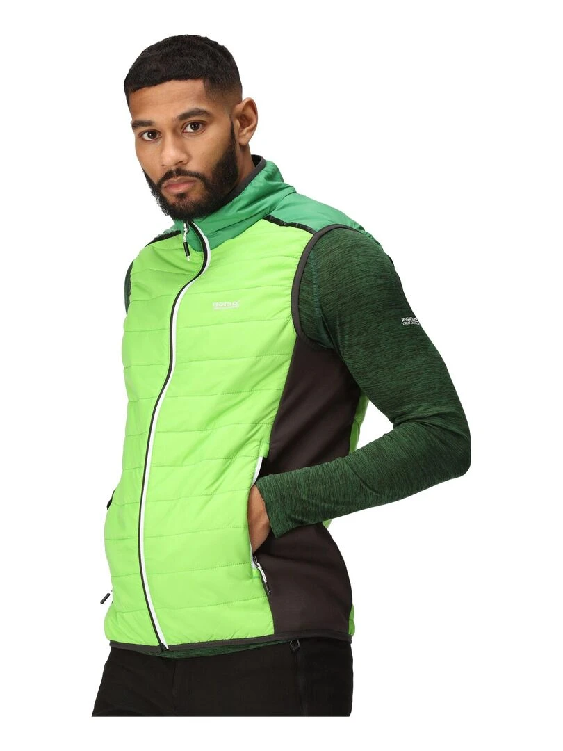 Regatta   Veste sans manches HALTON BAFFLED   Vert clair