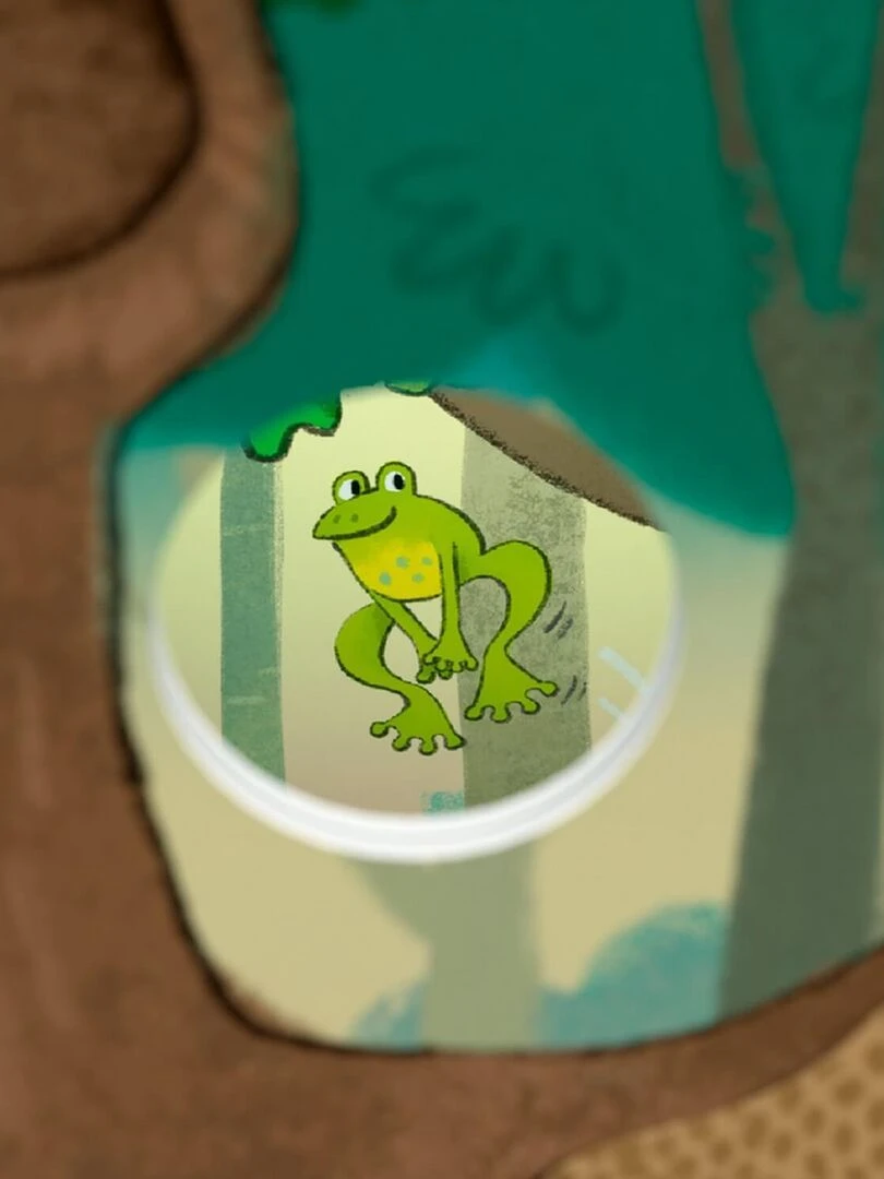 Jeu de société Amis de la forêt Mes Premiers Jeux   N/A