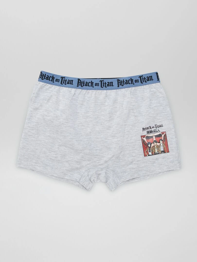 Lot de 2 boxers 'L'attaque des titans' Gris