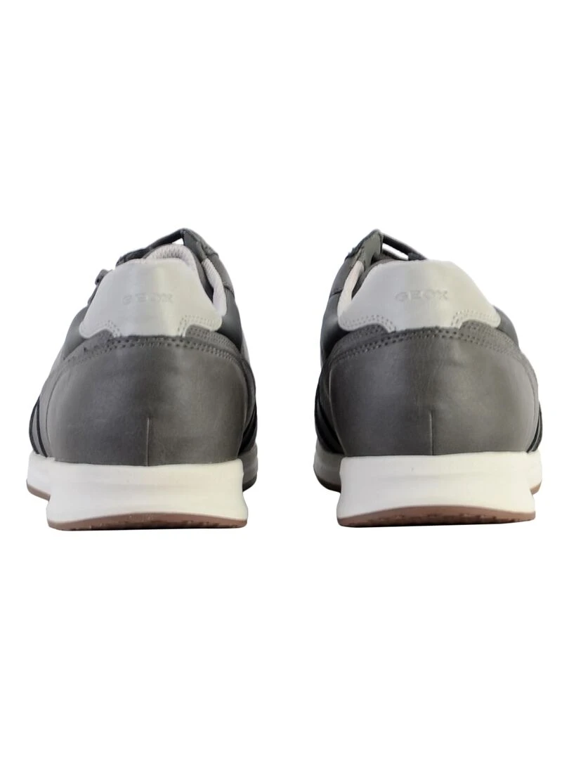Basket Cuir Geox U Avery A Wrinkl   Gris