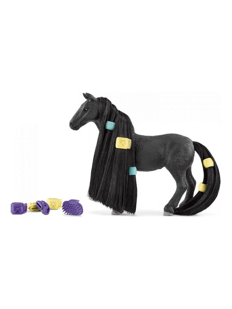 42581 Jument Criollo A Coiffer Sofias Beauties   N/A