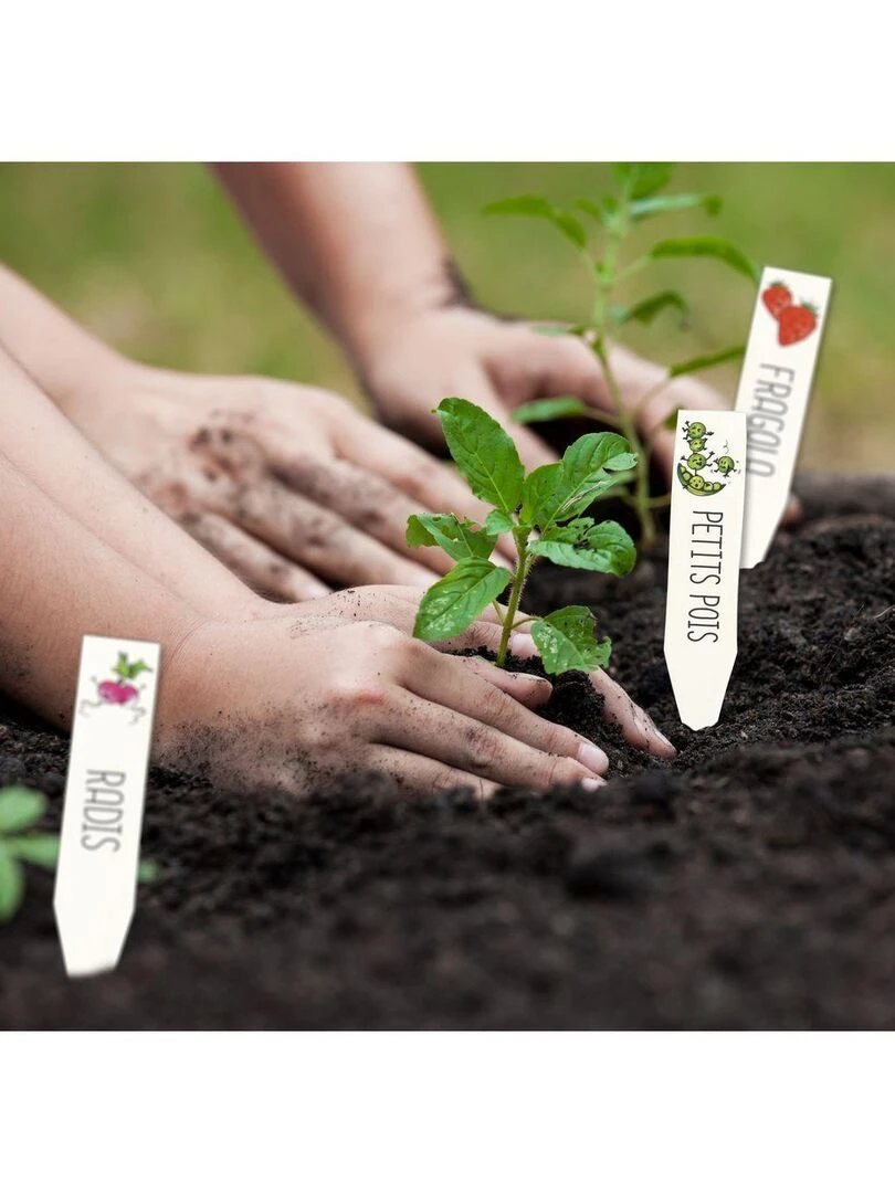 Kit Plastique Dingue   Étiquettes Potager   N/A