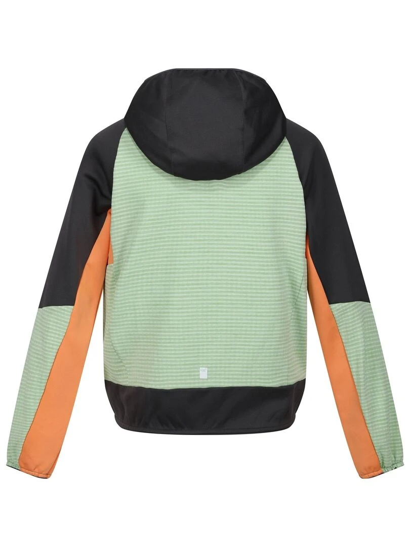 Regatta Veste softshell PRENTON Vert sapin