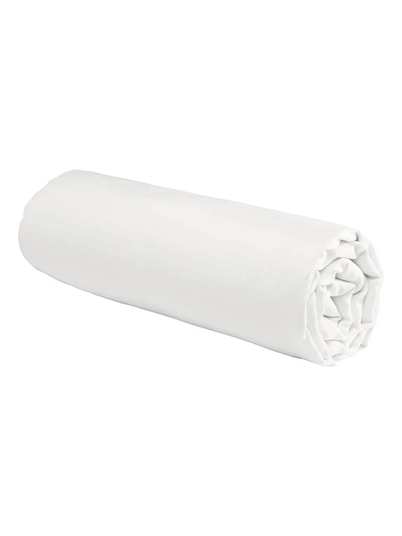 Future Home Drap housse en coton 57 fils uni Blanc