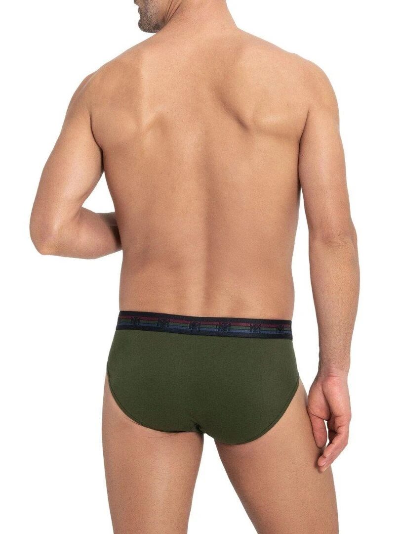 Pack de 2 slips en coton Haruto   Vert