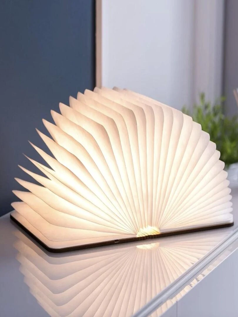 LIVRE Lampe à poser led couverture en bois Marron noisette