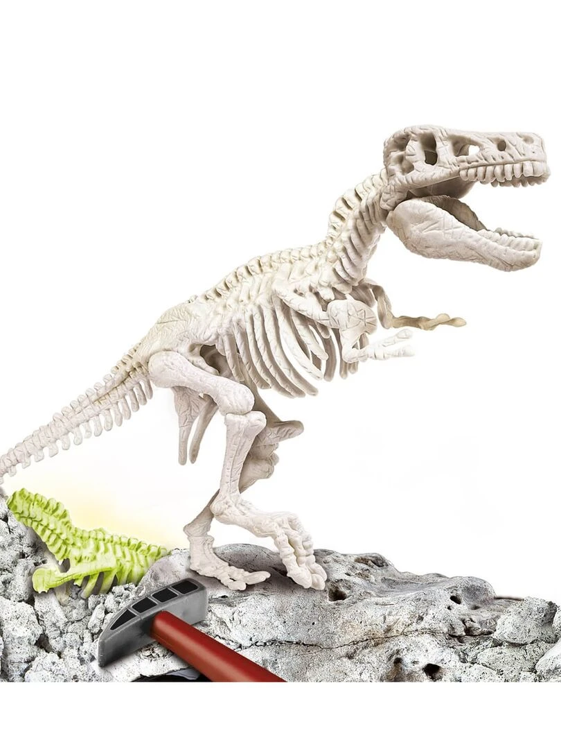 Science & Jeu : Archéo Ludic : T Rex N/A