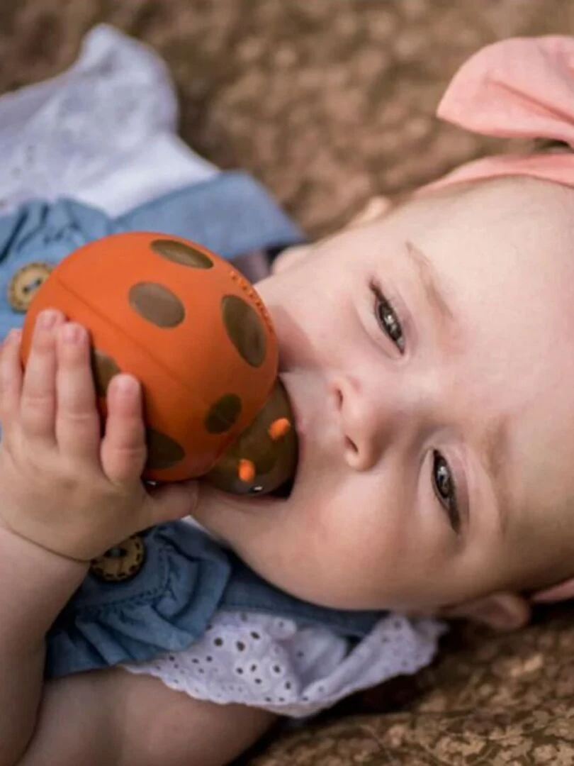 Coccinelle en caoutchouc naturel   N/A