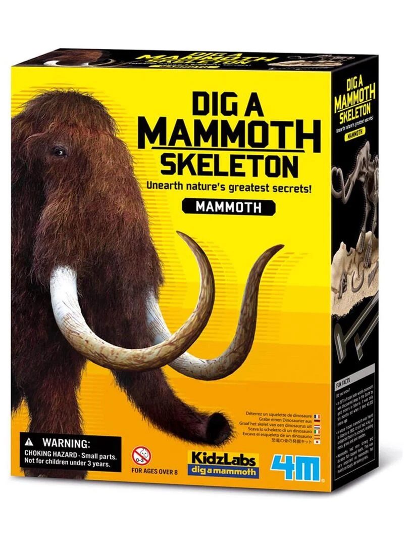 Coffret découverte de la science Déterre ton mammouth N/A