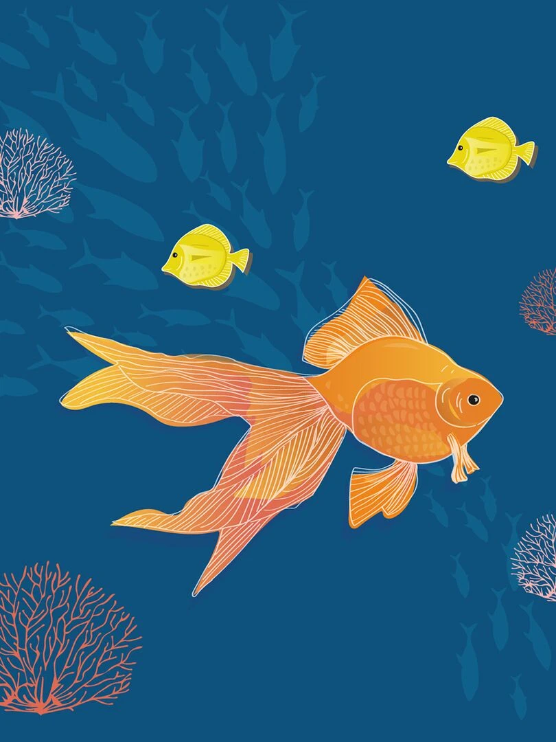 Coffret de couches lavables "Océan"   Langeline   Bleu Orange